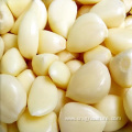 Freeze Garlic Cloves That Are Peeled